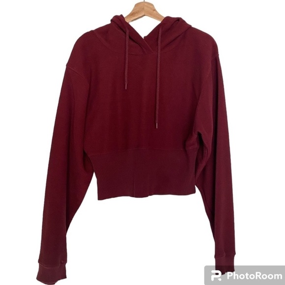 SILENCE + NOISE BURGUNDY CROPPED FITTED HOODIE SIZE LARGE - Picture 1 of 5